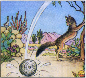 Coyote's Broken Dream