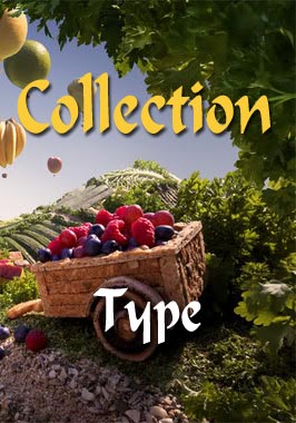 Type Button