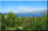 Dalmatian Coast